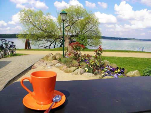 coffee cup coffee break lake view