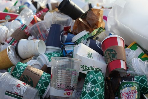 coffeetogo  disposable cups  pollution