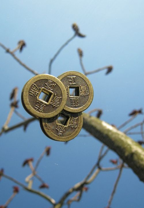 coins chinese tree