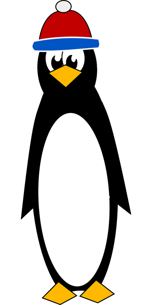 cold linux penguin