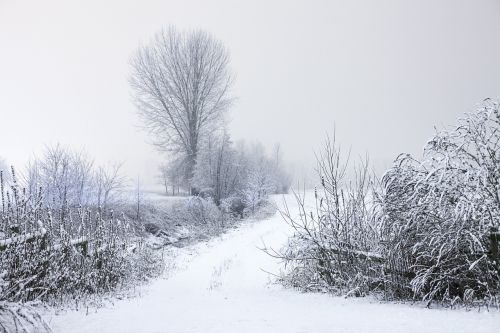 cold country landscape