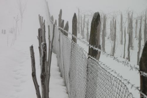 cold fence frozen