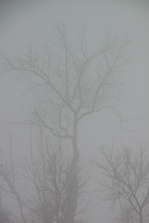 cold fog mist