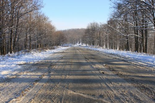 cold forest road