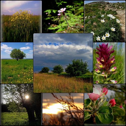 collage nature poland