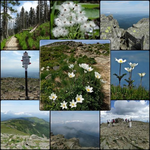 collage babia top mountains