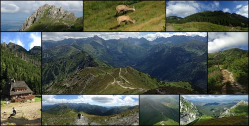 collage tatry mountains