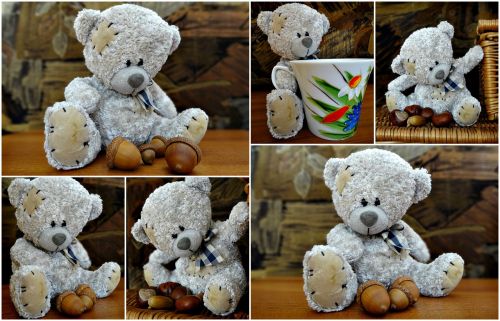 collage teddy bear the mascot