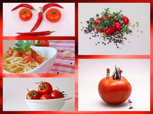 collage tomatoes vegetables