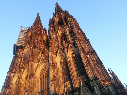 cologne cathedral cologne evening sun
