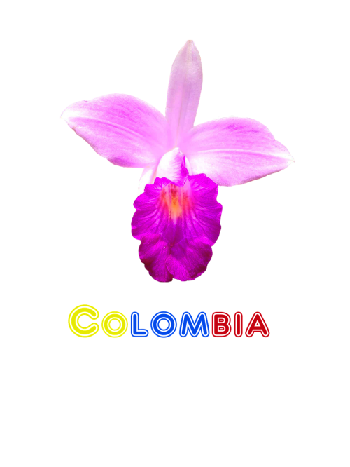 colombia flower orchid