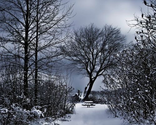 winter scenery snowy bench dark sky