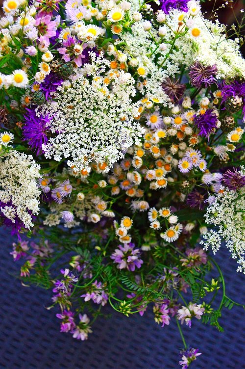 color  bouquet  summer flowers