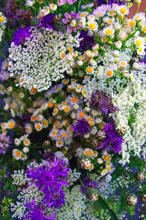color  bouquet  summer flowers