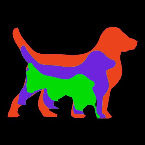 Color Dog