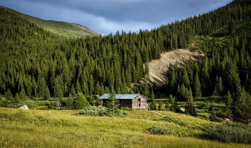 colorado landscape forest