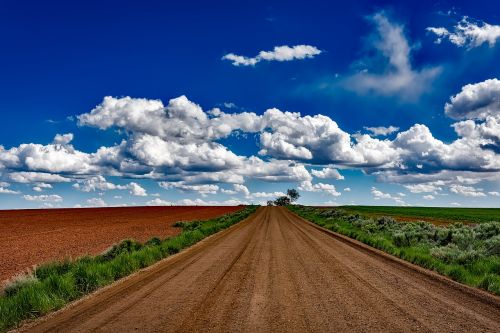 colorado landscape dirt road