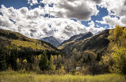 colorado fall leaves mountain