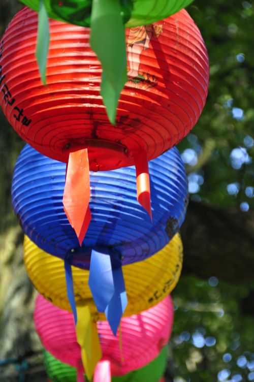 colorful lampion red