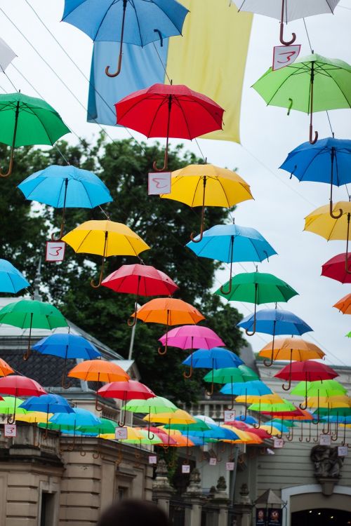 colorful umbrella festival