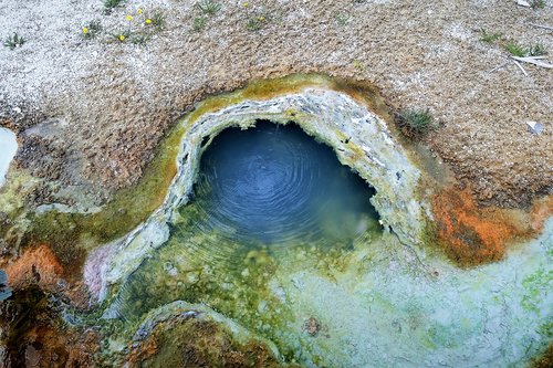 colorful  thermal pool  yellowstone