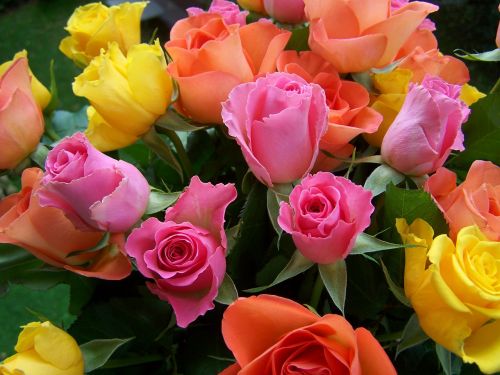 colorful bouquet of roses yellow-orange pink