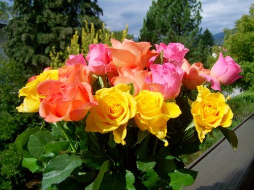 colorful bouquet of roses yellow pink