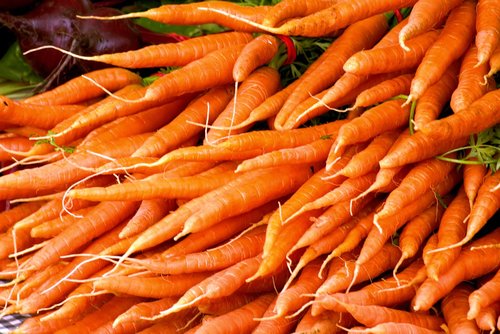 colorful carrots  carrots  vitamins
