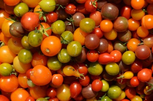 colors tomatoes vegetables