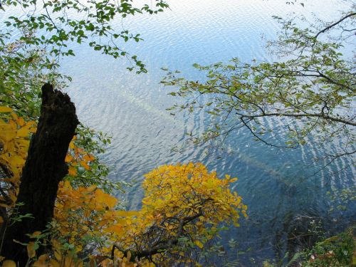 colors of autumn water lake