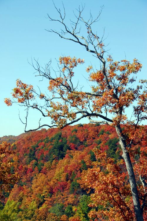 Colors Of Fall