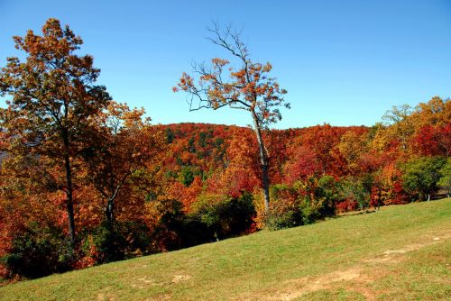 Colors Of Fall