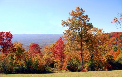 Colors Of Fall