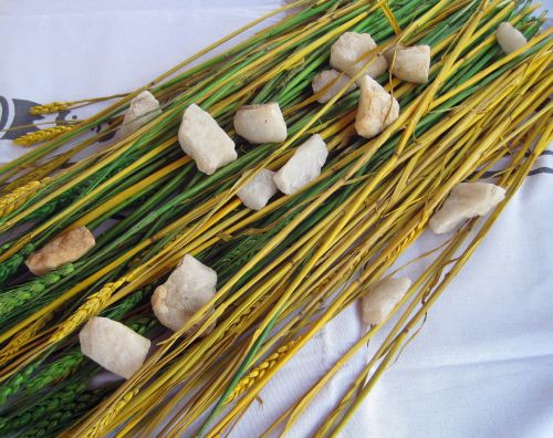 Coloured Wheat Stalks