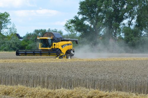 combine harvester harvest barley field