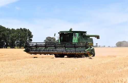 combine harvester harvest wheat