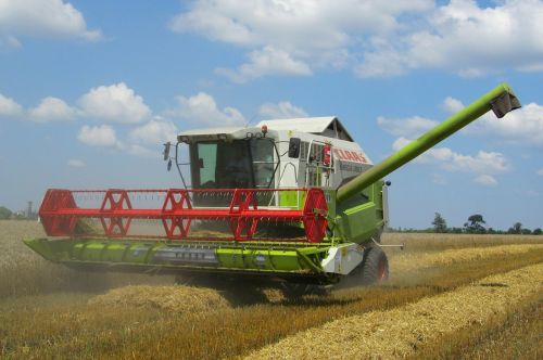 combine harvester harvest