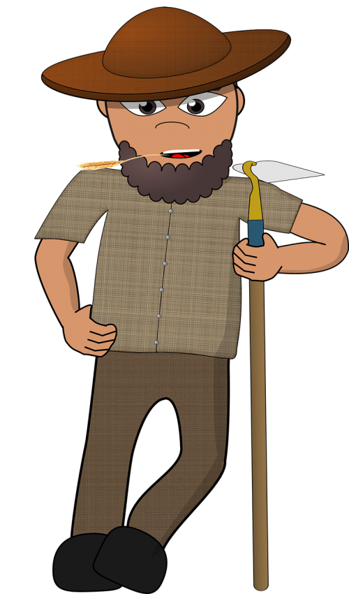 comic characters dress-up head farmer