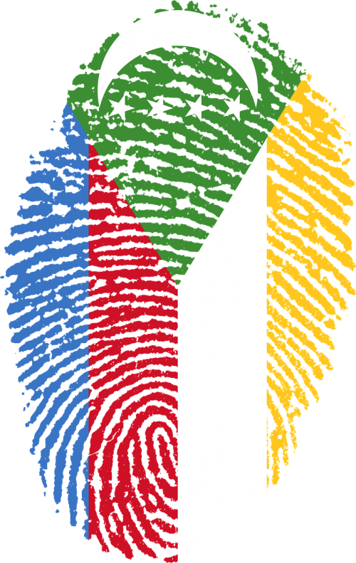 comoros flag fingerprint