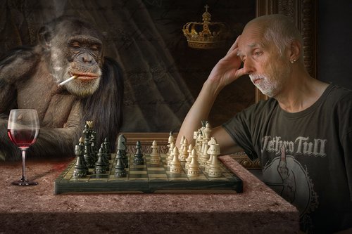 composing  monkey  photomontage