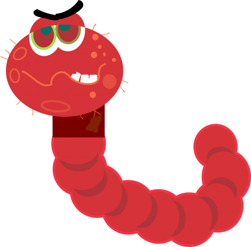computer virus worm