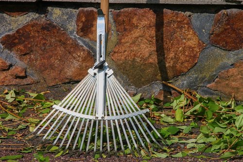 computing  garden rake  raking leaves