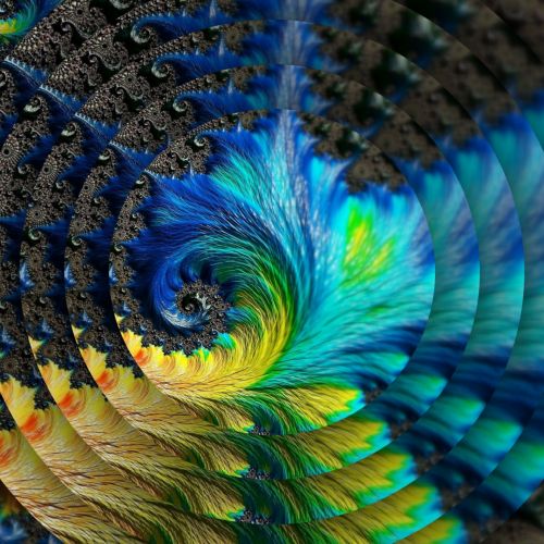 Concentric Feathers