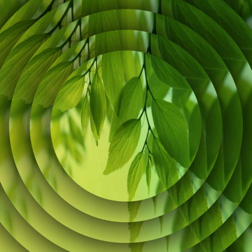Concentric Green Leaves