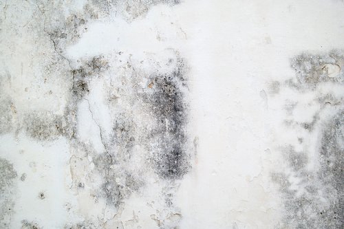 concrete  wall  texture
