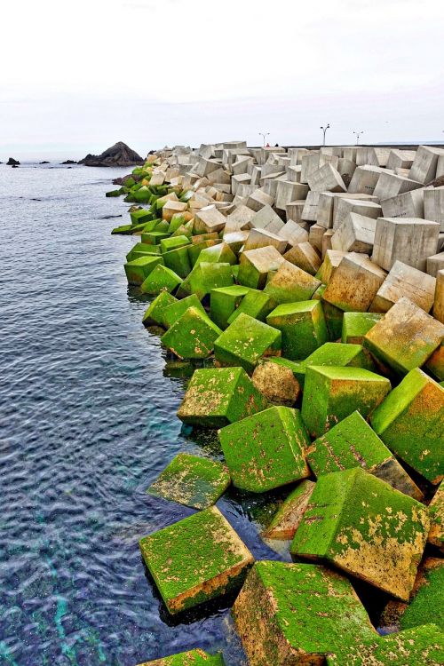 concrete blocks sea green