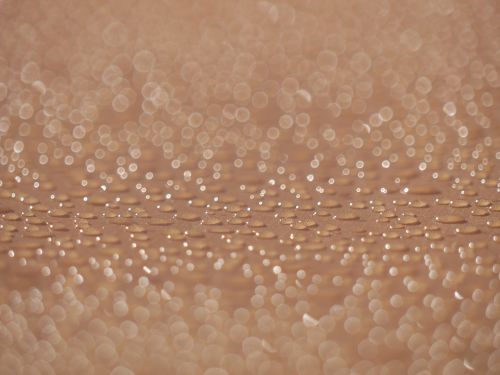 condensation droplets water