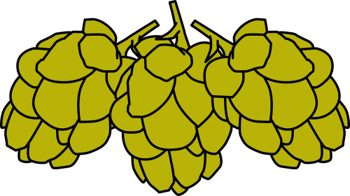 cones fruit cluster