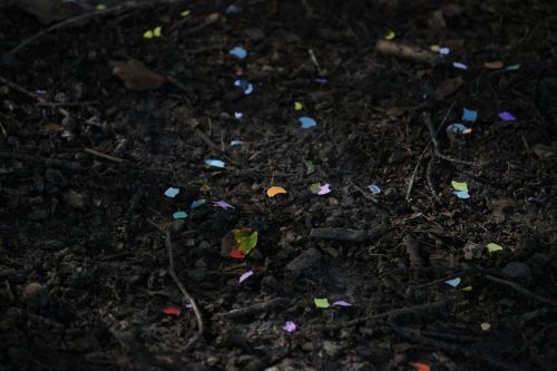 confetti color ground