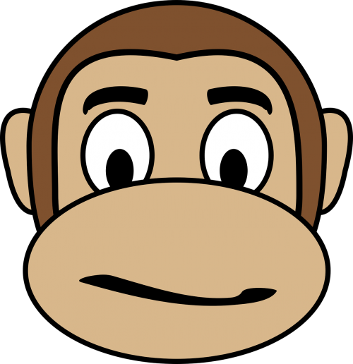 confused face monkey